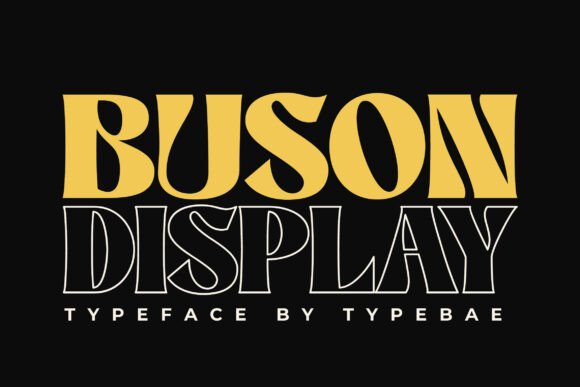 Enhance Your Brand with Buson: A Stylish Retro Serif Font